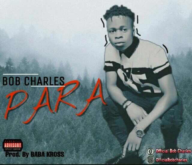 [MUSIC] Bob Charles - Para (prod by Baba Kroos) 15