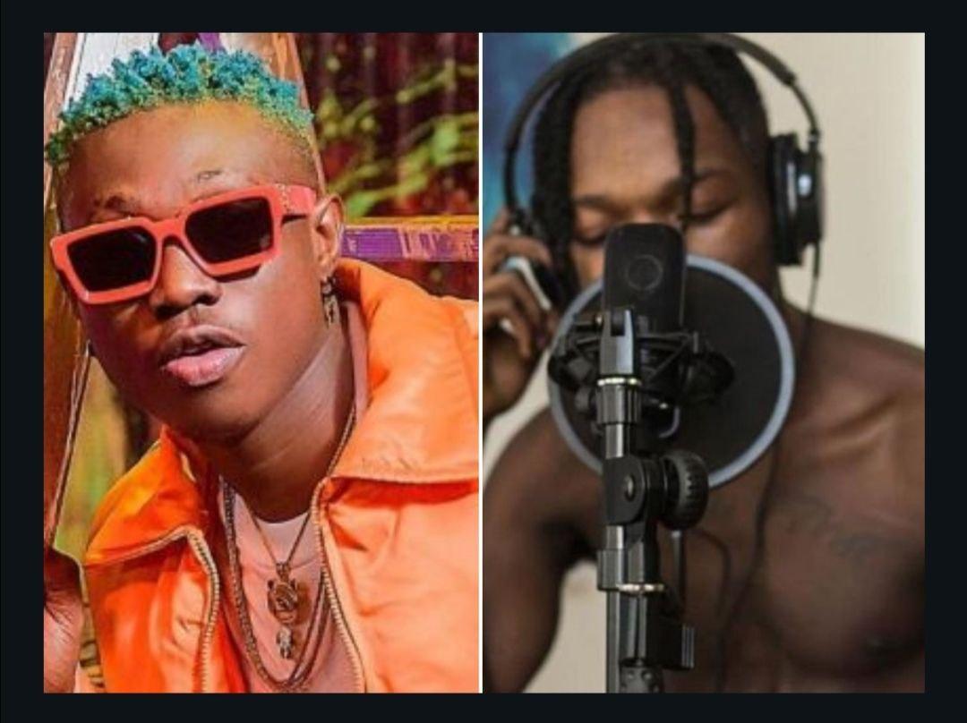 You Need A Dope Verse To Complete Your Song, Who Would You Choose Between Zlatan & Naira Marley? 2