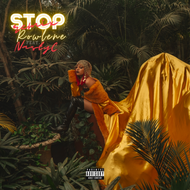 Rowlene ft. Nasty C – “Stop” (Remix) 11