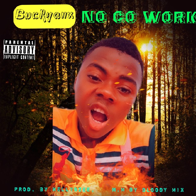 Buckyanx – No Go Work 17