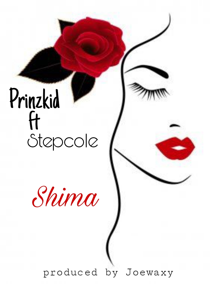 Prinzkid - Shima ft Stepcole 5