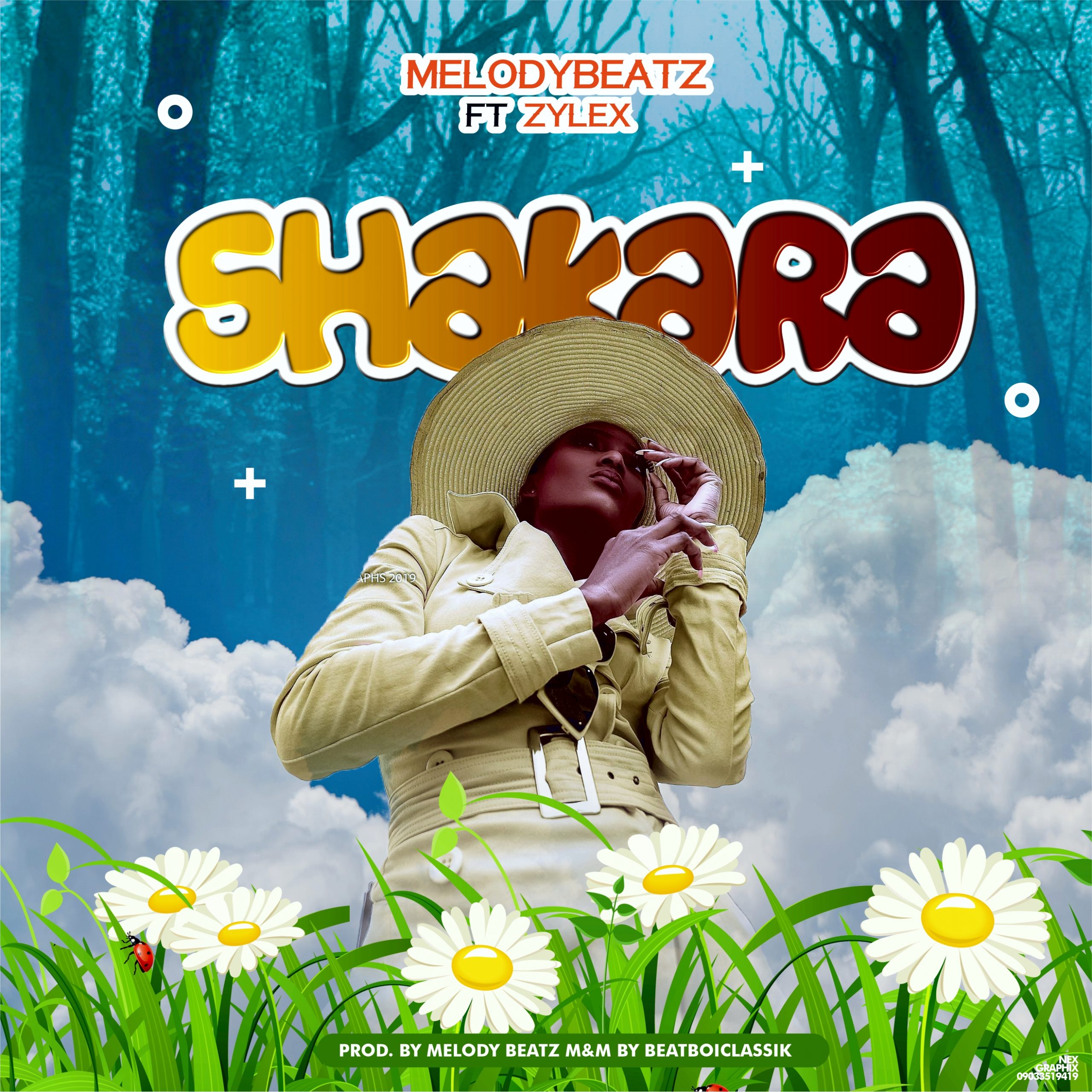 Melody Beat - Shakara ft Zylex 2