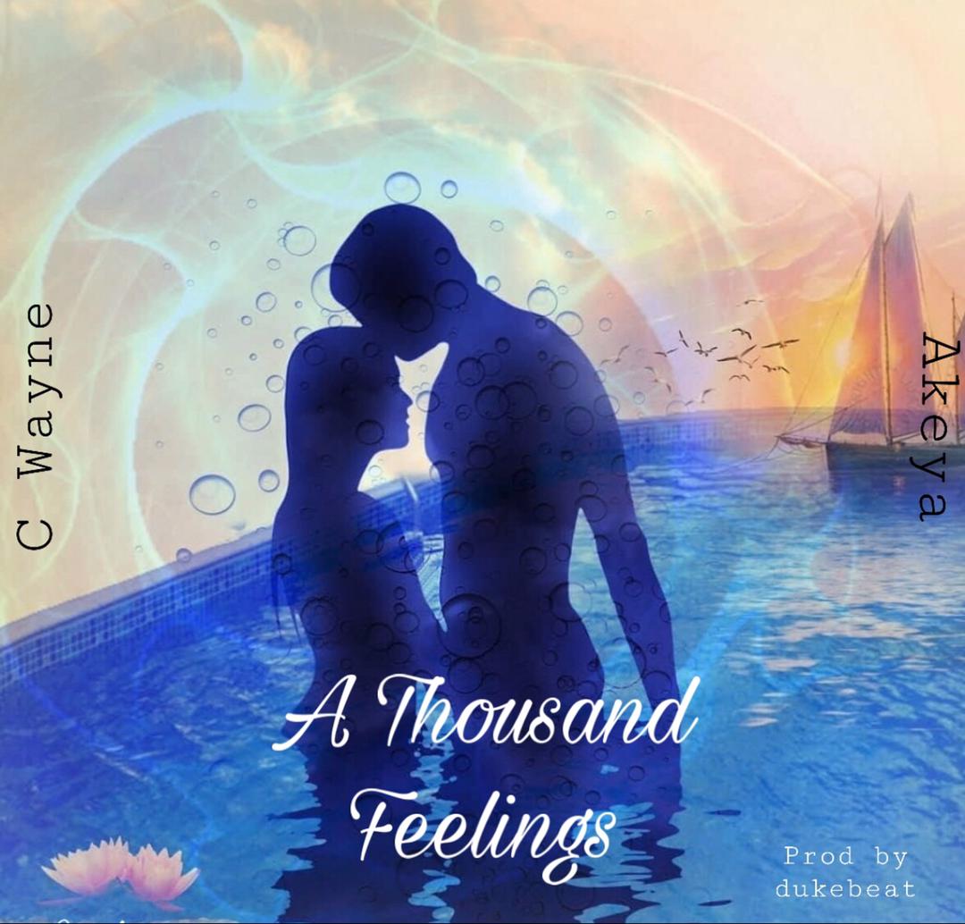 C Wayne - A Thousand Feelings Feat Akeya 2