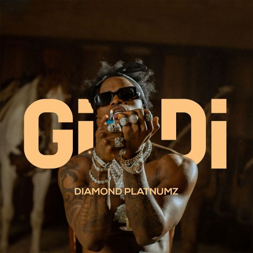 Diamond Platnumz – Gidi [Mp3 + Video] 11