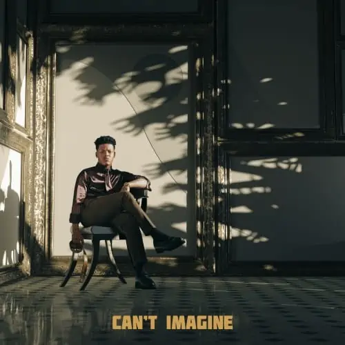 Nasty C – Can’t Imagine 7