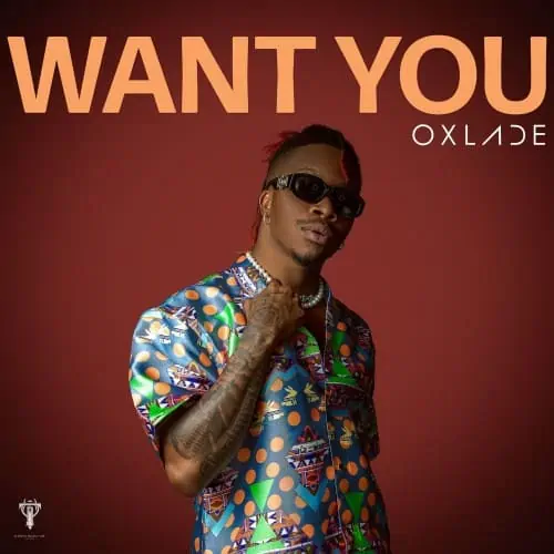 Oxlade – Want You 4