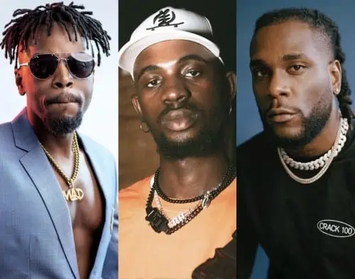 Burna Boy Called Out For Not Fulfilling His Promise To Take Black Sherif On Tour 4