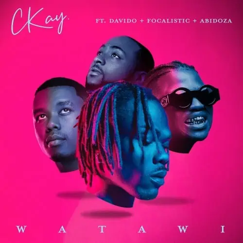 CKay – WATAWI ft. Focalistic, Davido, Abidoza 2