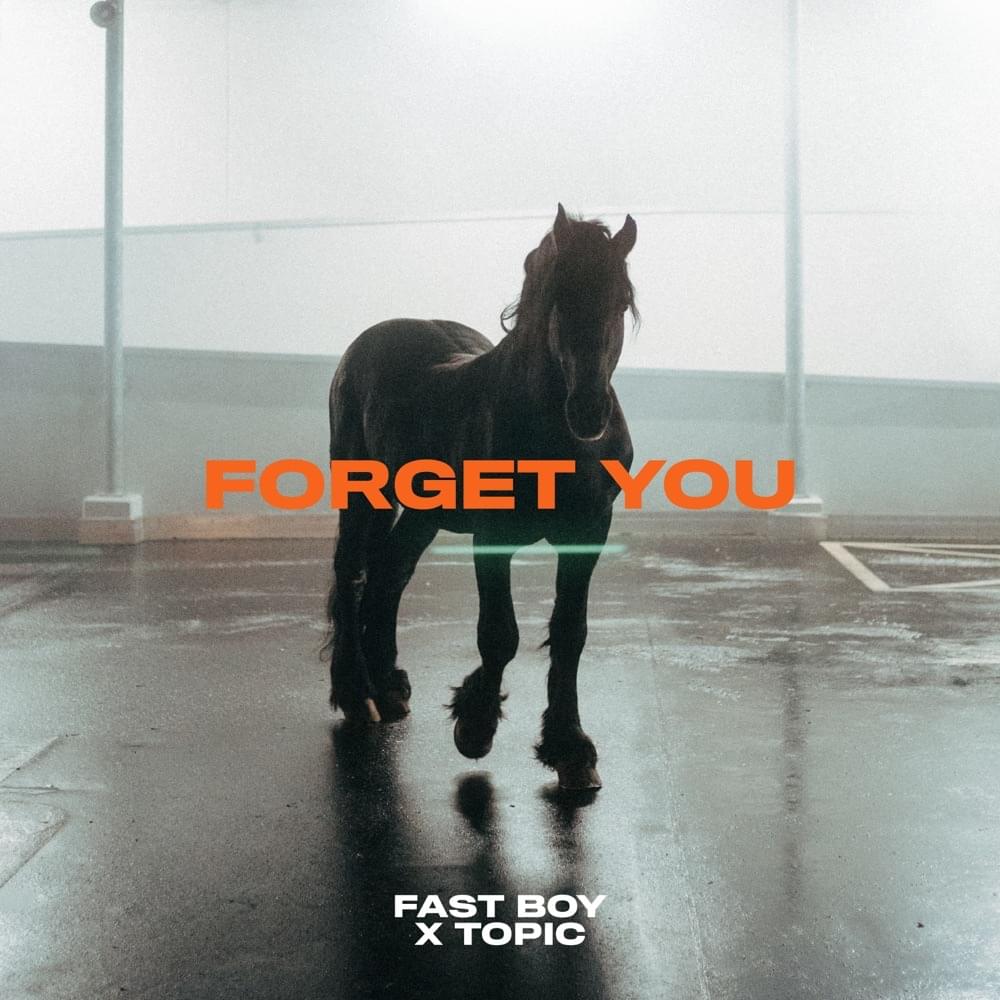 FAST BOY & Topic Forget You Mp3 Download