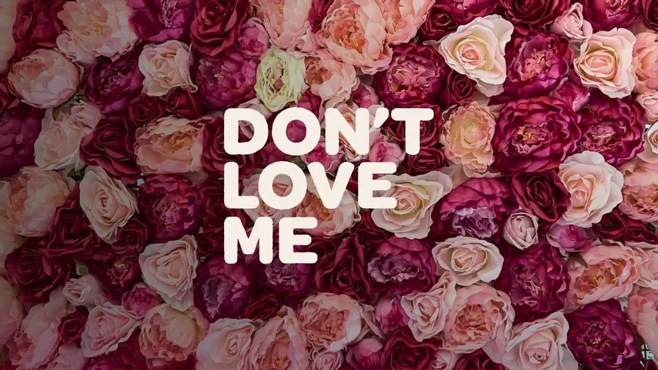 Roy Woods Don’t Love Me Mp3 Download