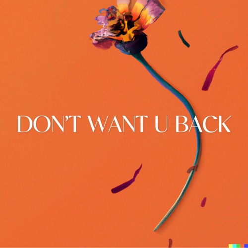 Lucas Larvenz – Don’t Want U Back 2