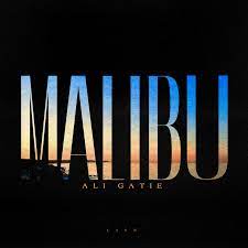 Ali Gatie – Malibu 4