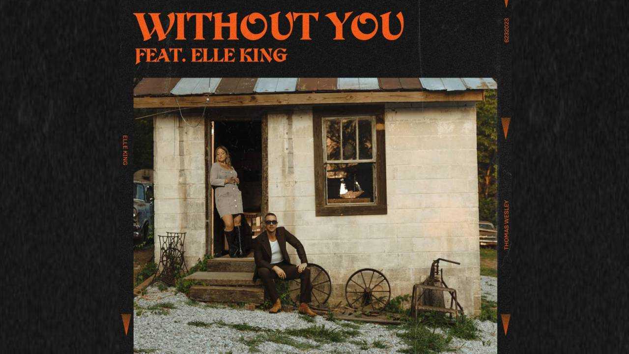 Diplo & Elle King Without You Mp3 Download