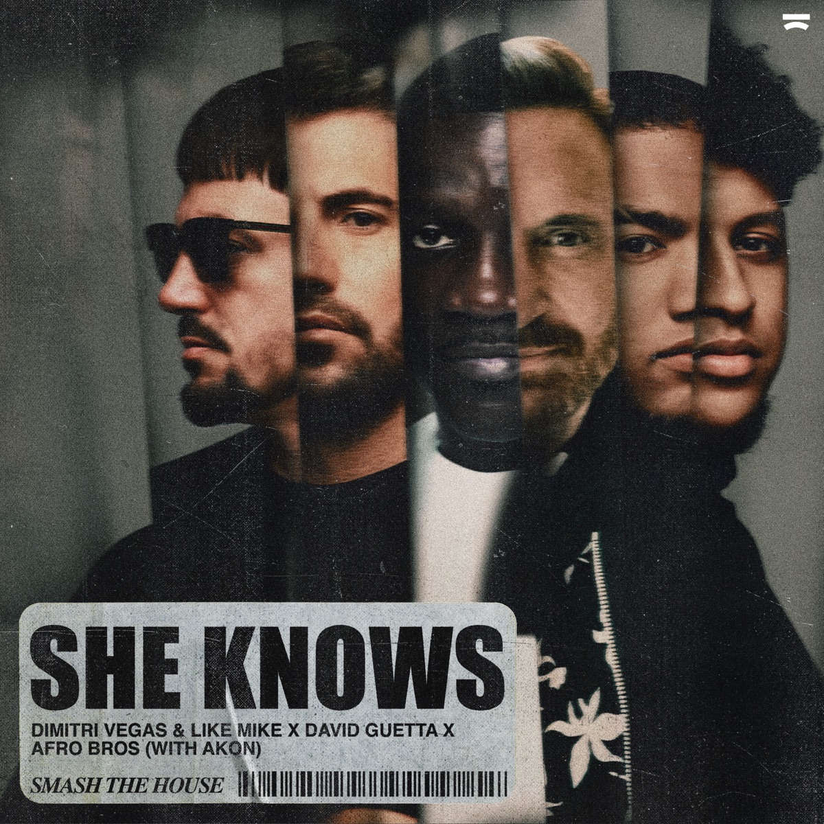 Dimitri Vegas – She Knows (With Akon) Ft. Like Mike, David Guetta, Afro bros & And Akon 5