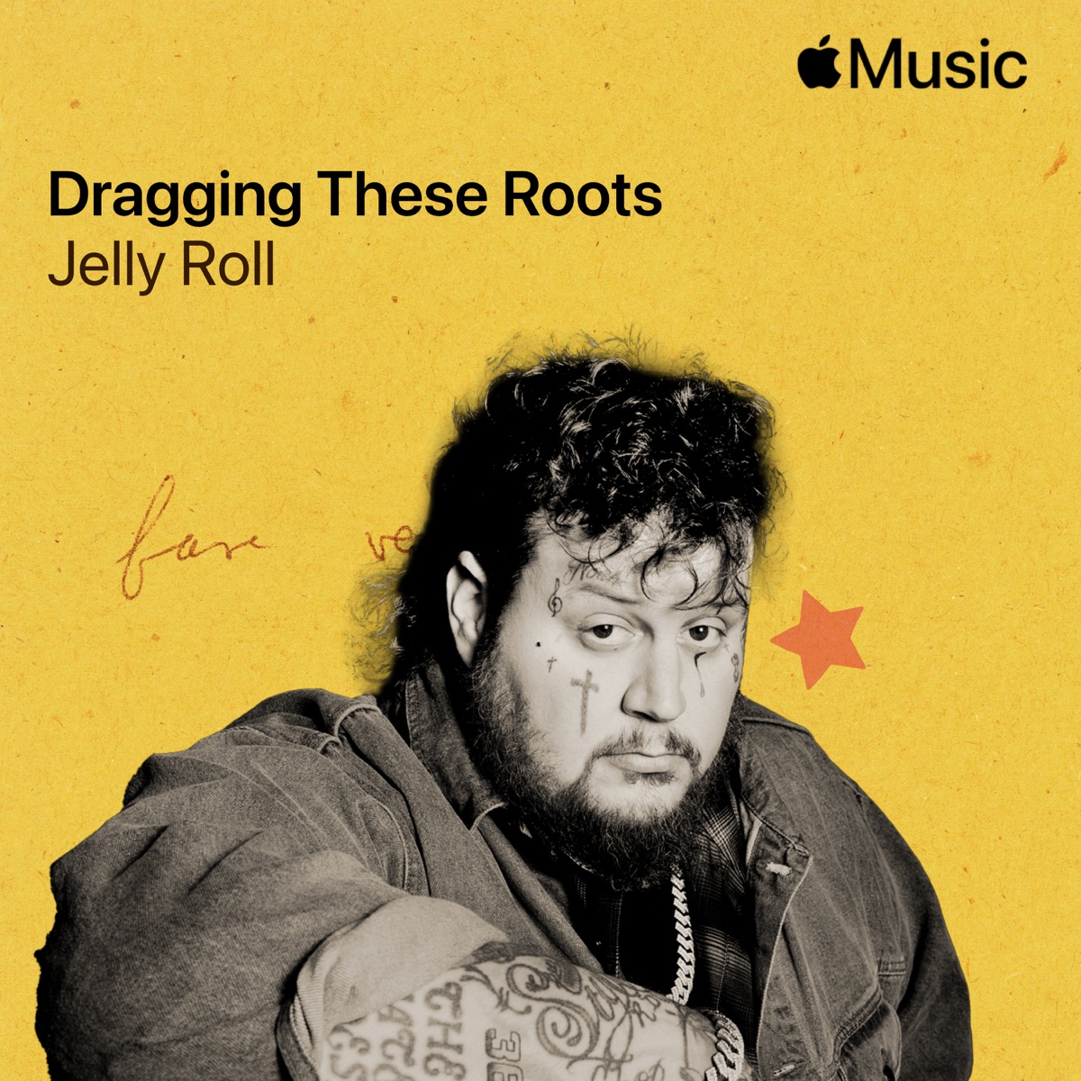 Jelly Roll Dragging These Roots Mp3 Download