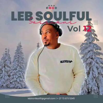 Lebtronik SA – LEB Soulful Sessions Vol. 12 (Winter Exclusive Mix) 3