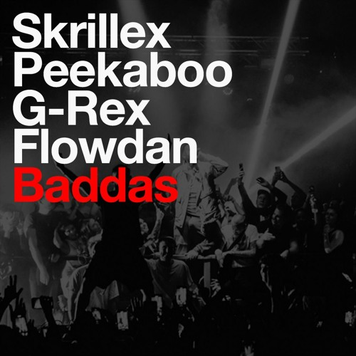 Skrillex PEEKABOO Flowdan & G-Rex Badders Mp3 Download