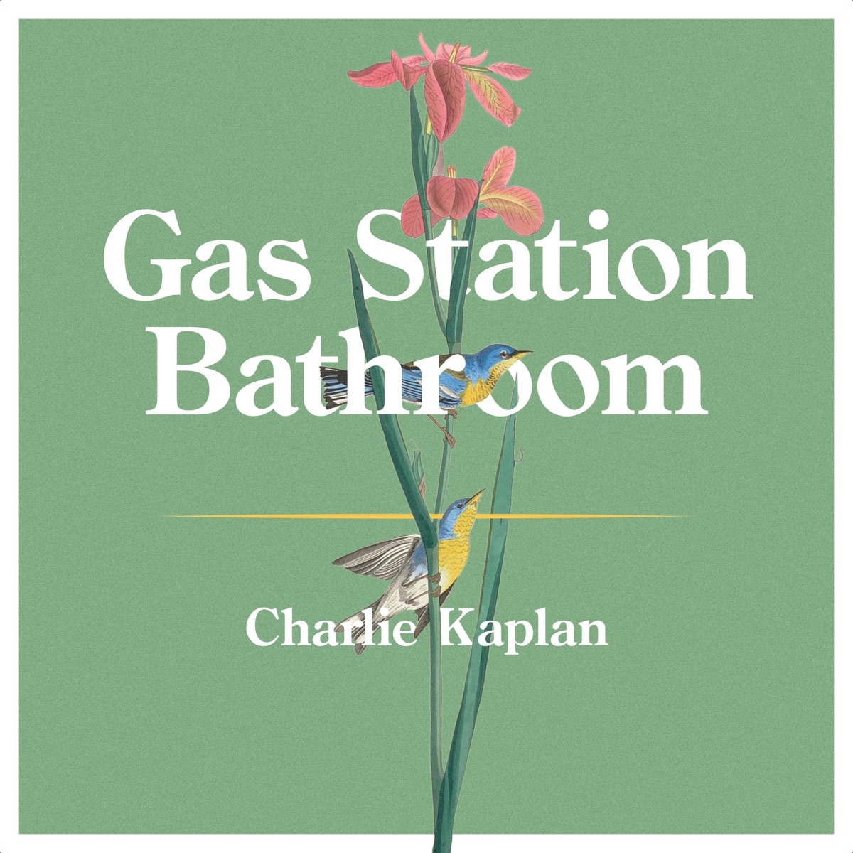 Charlie Kaplan – Gas Station Bathroom 1