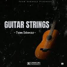 Team Sebenza – Guitar Strings 1