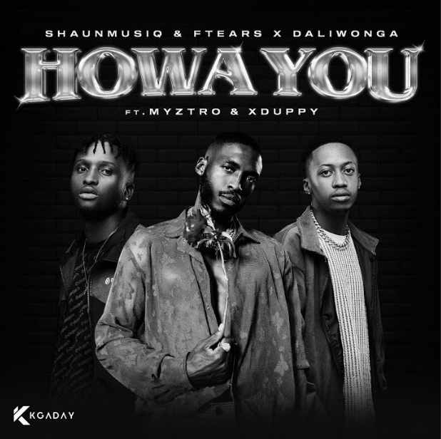 Shaunmusiq – Howa you Ft. Ftears x Daliwonga, Myztro & Xduppy 10