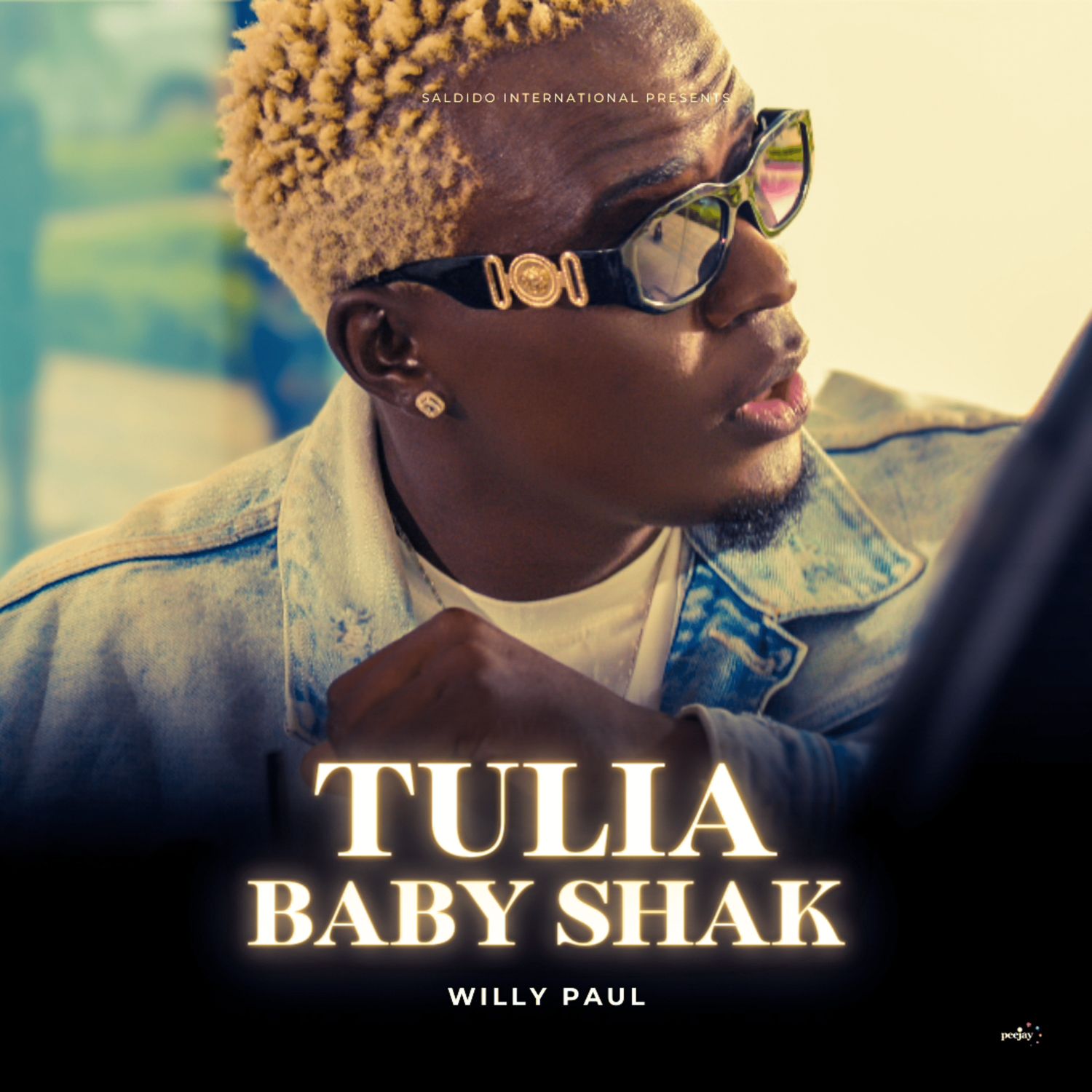 Willy Paul Tulia Baby Shak Mp3 Download