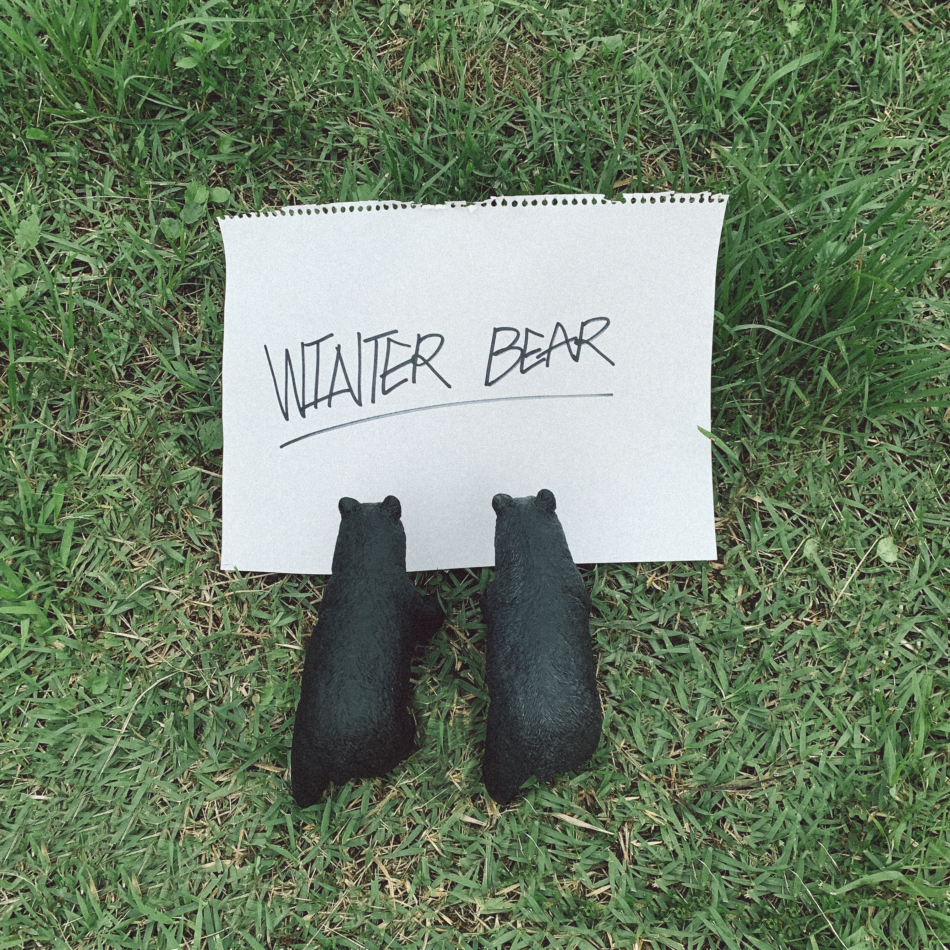 V Winter Bear Mp3 Download