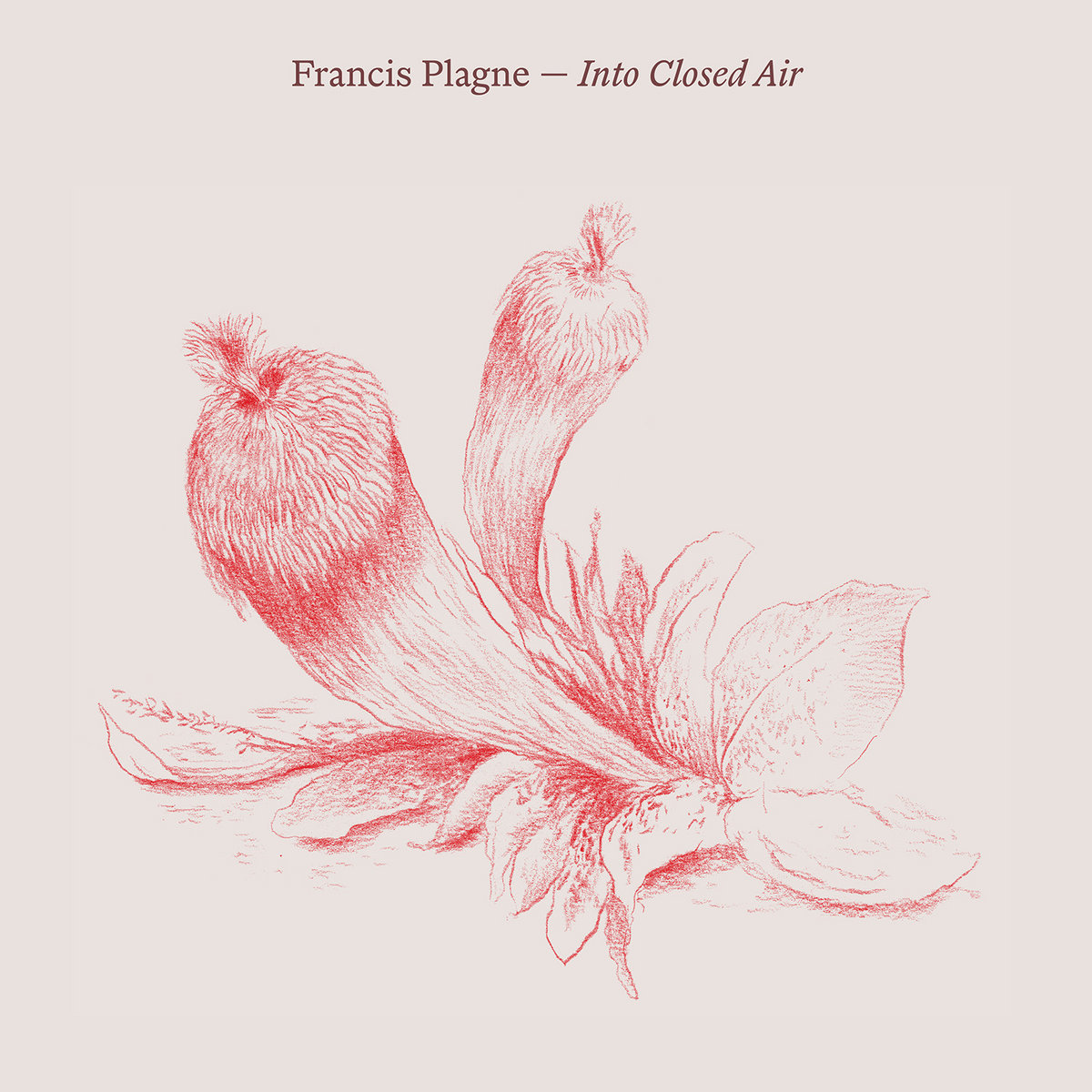 Francis Plagne Into Closed Air Zip Download