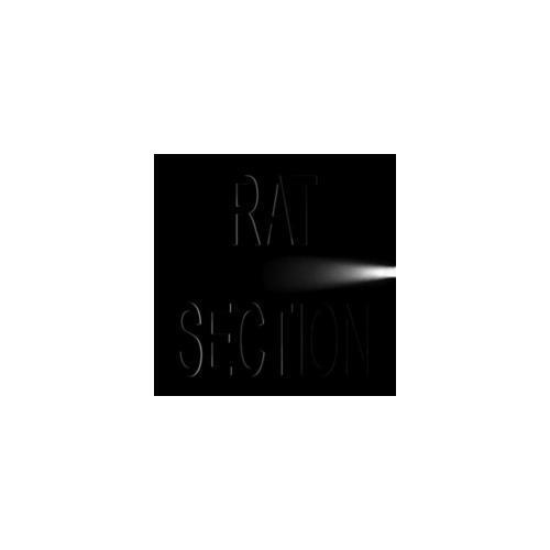 Rat Section What Stays In Vegas Zip Download