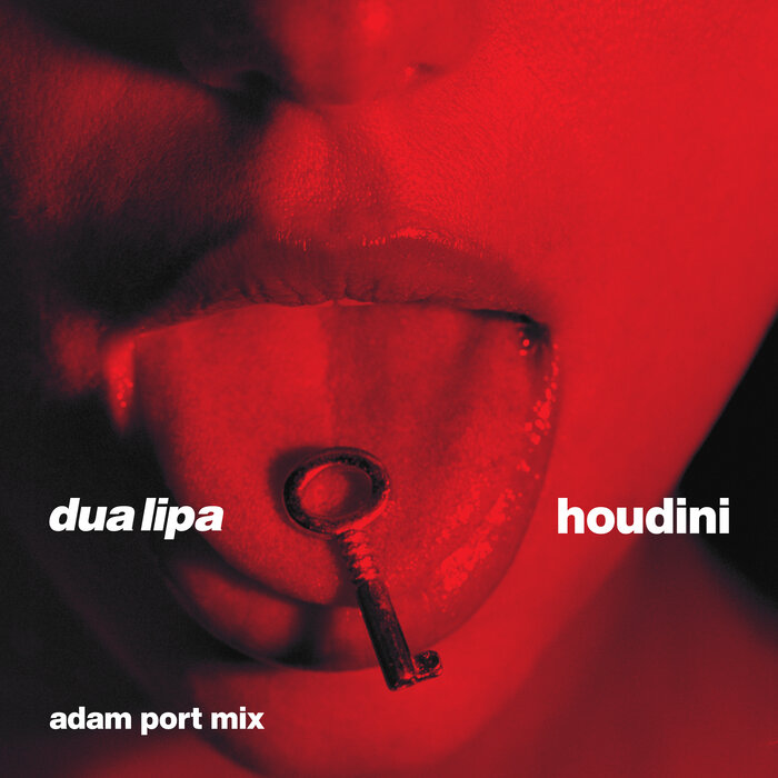 Dua Lipa – Houdini (Adam Port Mix) 4