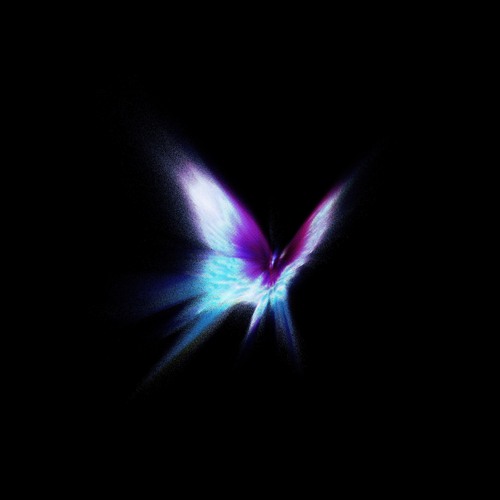 Jaron Butterfly Zip Download