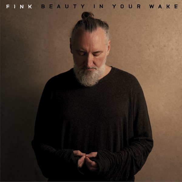 Fink Beauty In Your Wake Zip Download