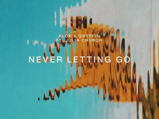 Alok Gryffin & Julia Church Never Letting Go Mp3 Download