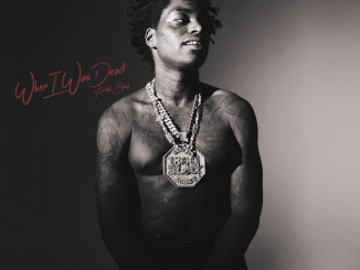 Kodak Black All She Want Mp3 Download