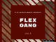 Various Artists Flex Gang Vol. 5 Album Zip Download