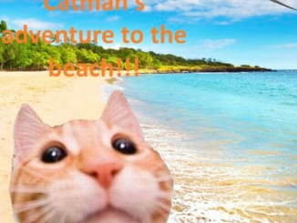 DJ Catman! – Catman’s adventure to the beach!!! [EP] 10