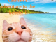 DJ Catman! – Catman’s adventure to the beach!!! [EP] 1