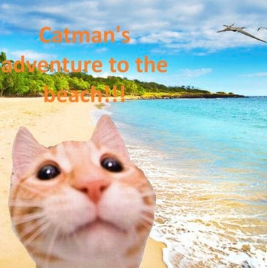 DJ Catman! Catman’s adventure to the beach!!! Zip Download