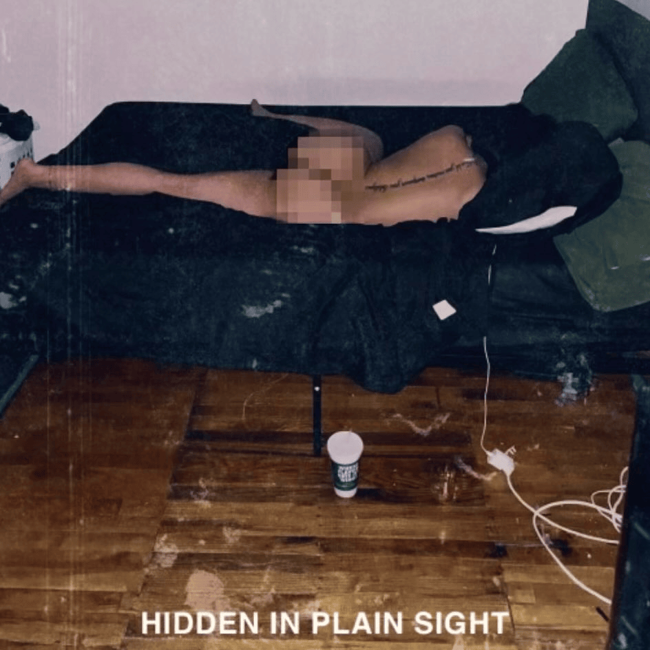 Boldy James & WhoTheHellisCarlo Hidden in Plain Sight Zip Download