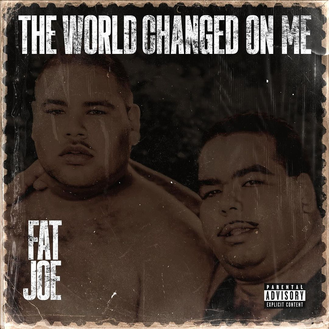 Fat Joe The World Changed On Me Zip Download