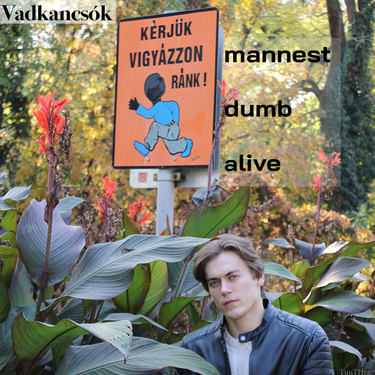 Vadkancsók mannest dumb alive Zip Download